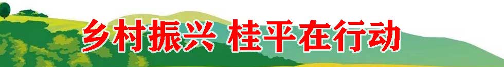 鄉(xiāng)村振興 桂平在行動(dòng)