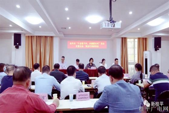 【鄉(xiāng)村振興 桂平行動】桂平市委統(tǒng)戰(zhàn)部組織召開“千企聯(lián)千村 共建新農(nóng)村”活動 民營企業(yè)、商會代表座談會