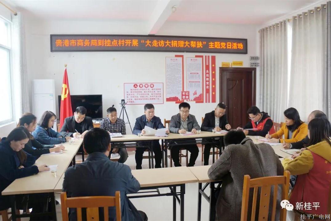 貴港市商務(wù)局到掛點(diǎn)村開展“大走訪大捐贈(zèng)大幫扶”主題黨日活動(dòng)