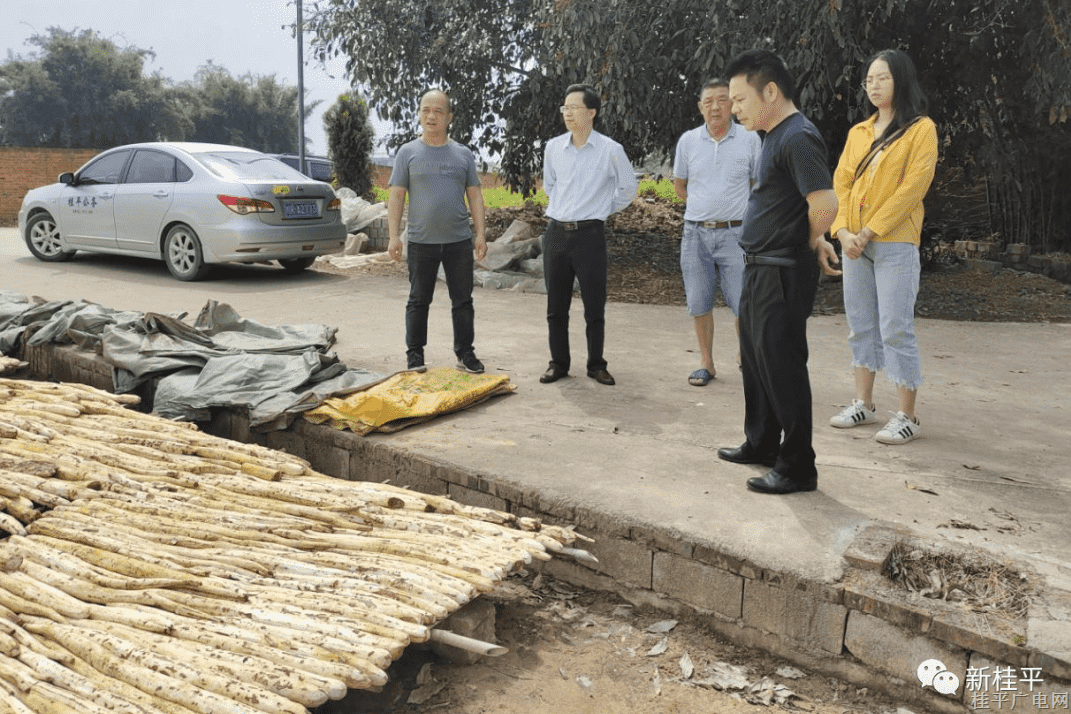 桂平市金田鎮(zhèn)：跟蹤整改落實 鞏固整改成效