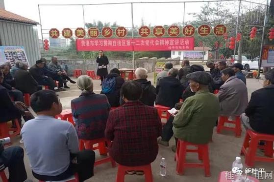 貴港市宣講員到河口村宣講自治區(qū)第十二次黨代會精神