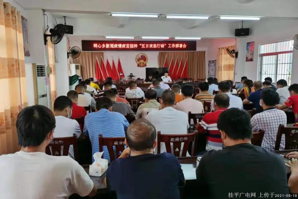 垌心鄉(xiāng)：黨建引領“四強化” 加速推進疫苗接種