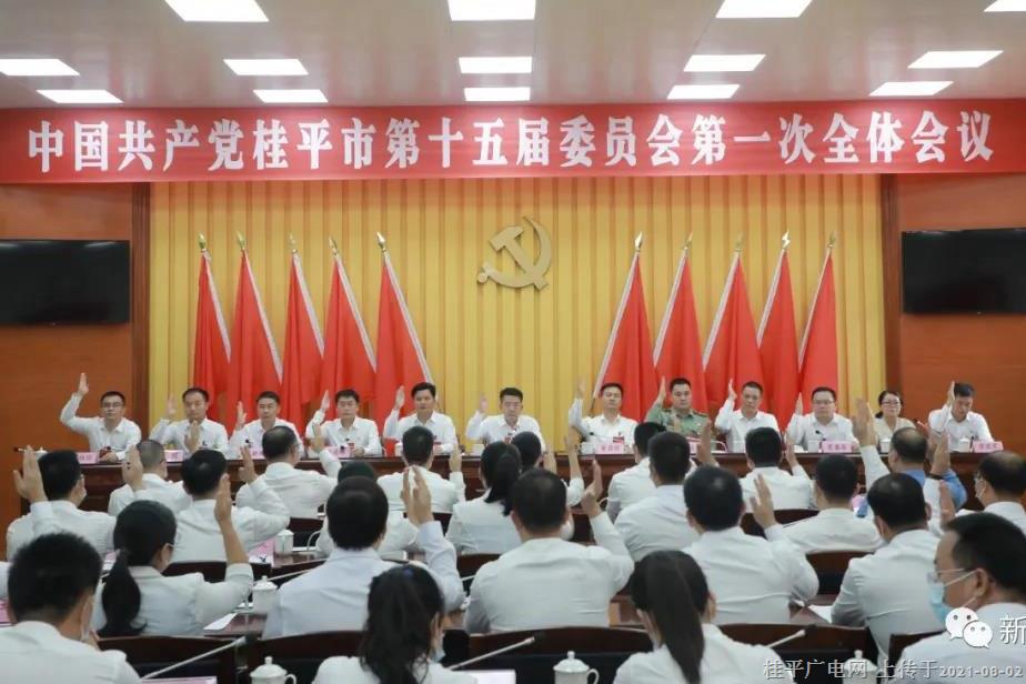 【聚焦黨代會(huì)】中國(guó)共產(chǎn)黨桂平市第十五屆委員會(huì)召開第一次全體會(huì)議