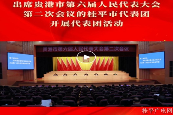 桂平市代表團(tuán)開(kāi)展代表團(tuán)活動(dòng)