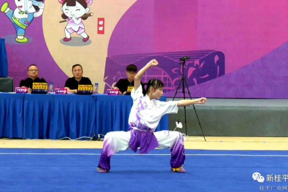 廣西第十五屆運動會武術(shù)套路比賽開幕