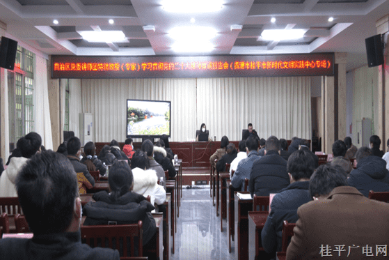 自治區(qū)黨委講師團(tuán)特聘教授（專(zhuān)家）到我市開(kāi)展黨的二十大精神宣講活動(dòng)