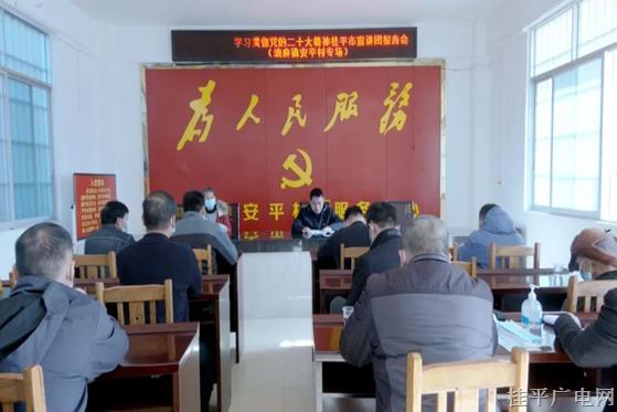 學(xué)習(xí)貫徹黨的二十大精神桂平市宣講團(tuán)報(bào)告會(huì)（油麻鎮(zhèn)安平村專場(chǎng)）開講
