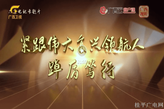 桂平市財政局組織全體黨員干部收看專題節(jié)目《緊跟偉大復(fù)興領(lǐng)航人踔厲篤行》