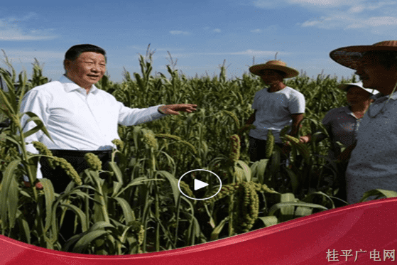 看到你們生活好,，我很高興,！