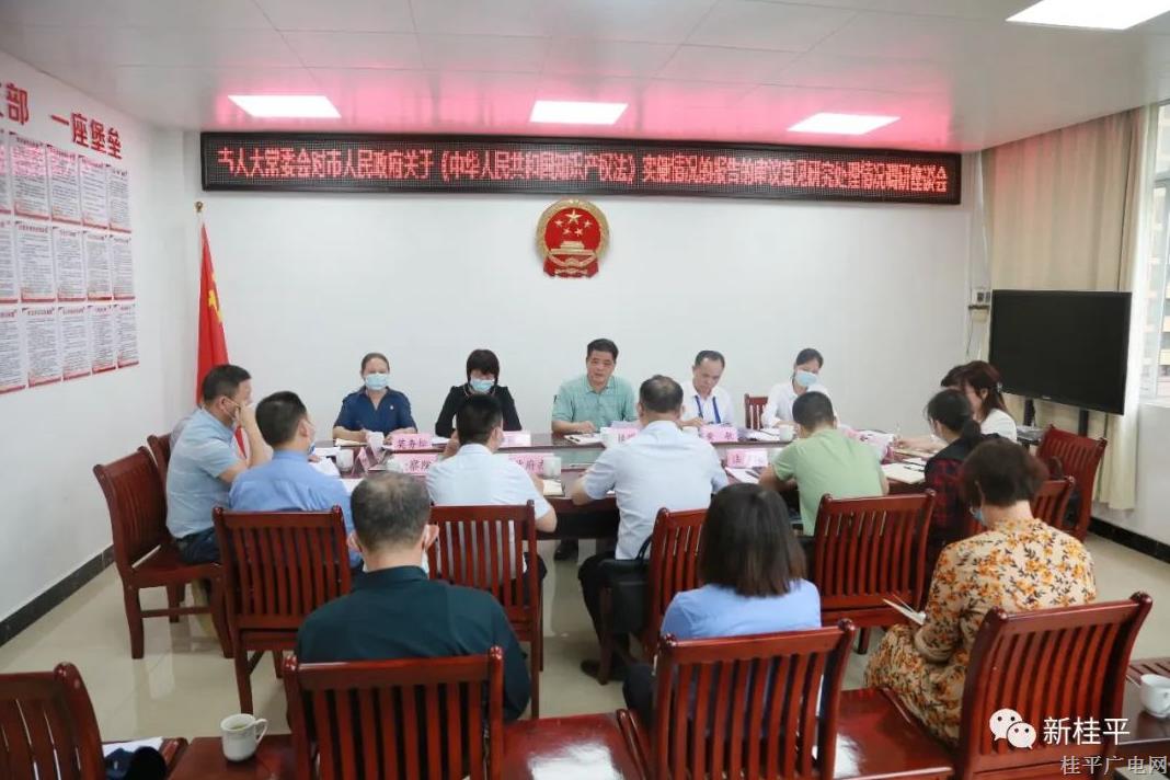 市人大常委會(huì)對(duì)市政府關(guān)于《中華人民共和國知識(shí)產(chǎn)權(quán)法》實(shí)施情況的報(bào)告的審議意見研究處理情況進(jìn)行調(diào)研
