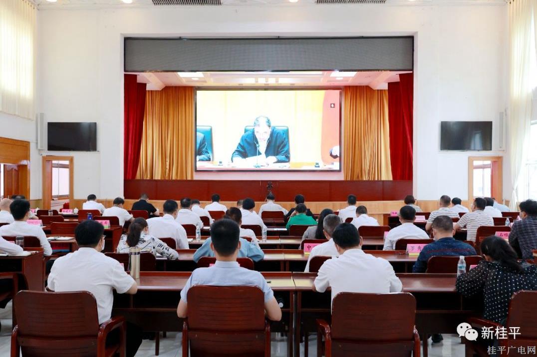 桂平市組織參加全國(guó)新冠肺炎疫情防控工作電視電話會(huì)議