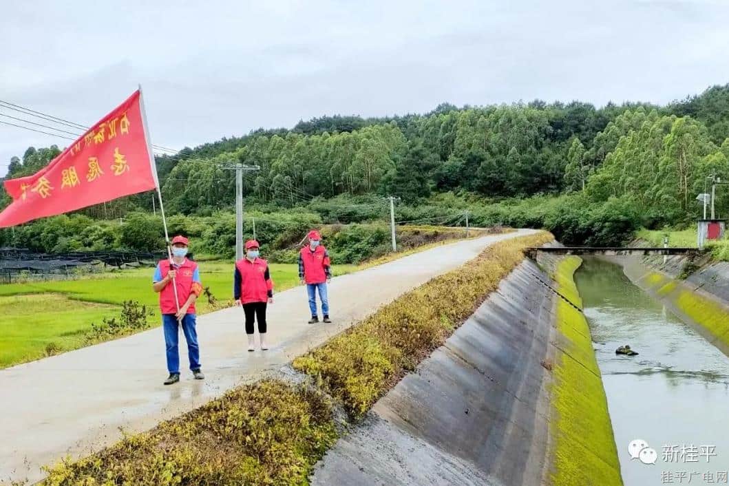 桂平市石龍鎮(zhèn)：黨員干部聞“汛”而動 沖鋒在前筑牢“安全堤壩”