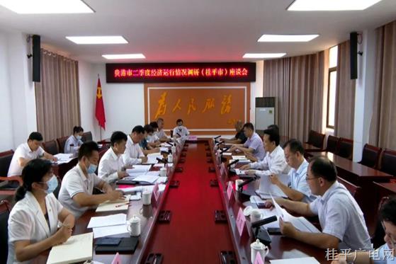 貴港市領(lǐng)導(dǎo)到桂平市調(diào)研二季度經(jīng)濟運行情況