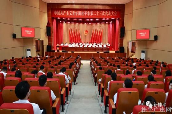 共青團桂平市第二十三次代表大會召開