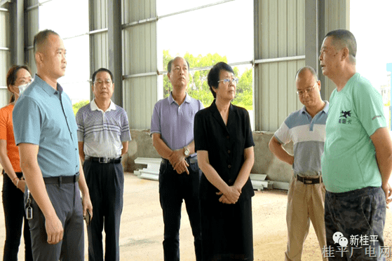 貴港市領(lǐng)導(dǎo)到桂平市開展重大項目調(diào)研