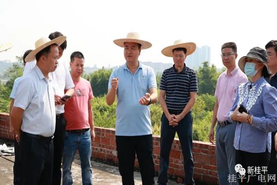 黃德佳帶隊調研我市大健康文旅項目建設工作