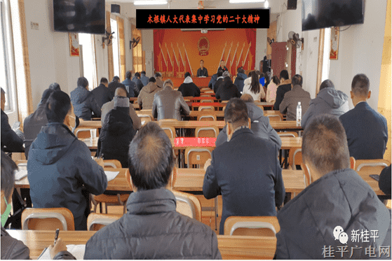 木根鎮(zhèn)人大代表集中學習黨的二十大精神