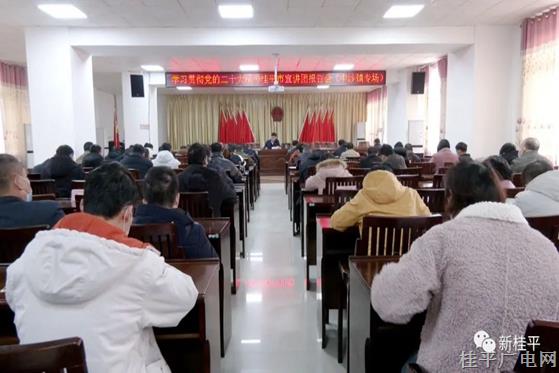 學習貫徹黨的二十大精神桂平市宣講團報告會（中沙鎮(zhèn)專場）開講