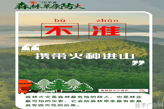 森林防火“十不準(zhǔn)”請(qǐng)牢記,！
