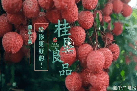 35.《桂墾良品 食安天下 荔枝篇》