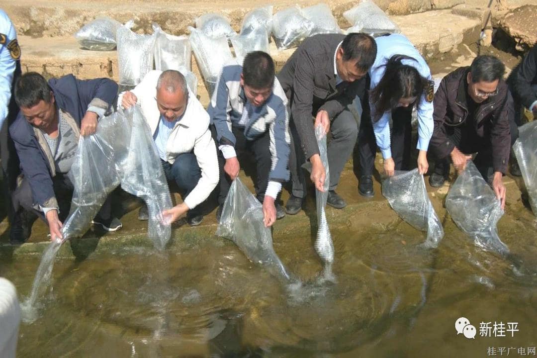 微信圖片_20231122092603.jpg