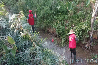 【新時代文明實踐】羅播鄉(xiāng)開展巡河護(hù)河志愿服務(wù)活動