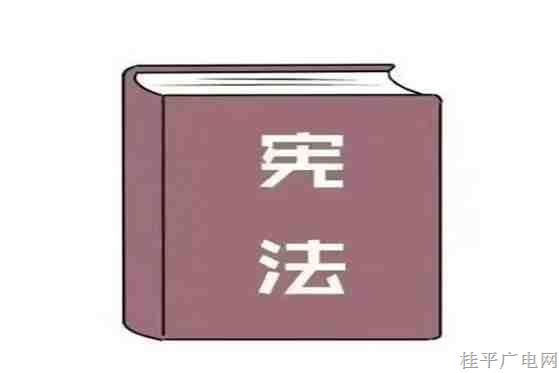 憲法宣傳周｜一圖帶你了解憲法
