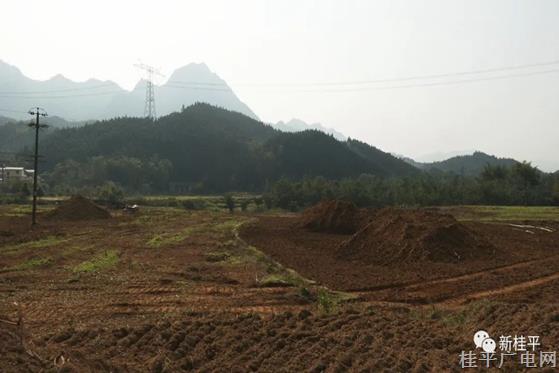 紫荊鎮(zhèn)土地綜合整治項目開工建設 660余畝旱地提質改造為水田