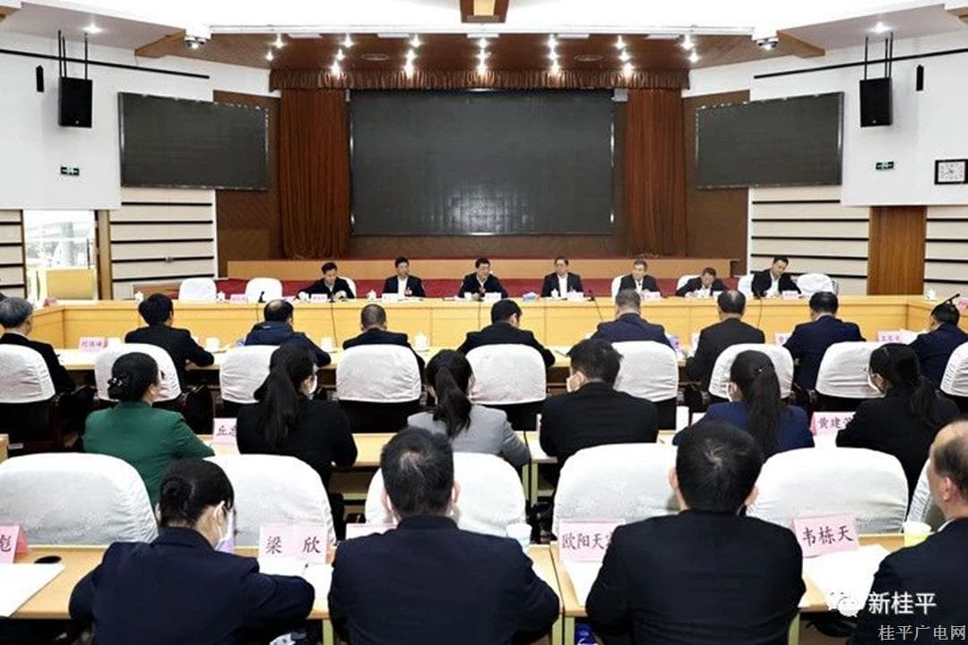 聚焦“兩會(huì)”丨朱會(huì)東參加桂平市代表團(tuán)審議