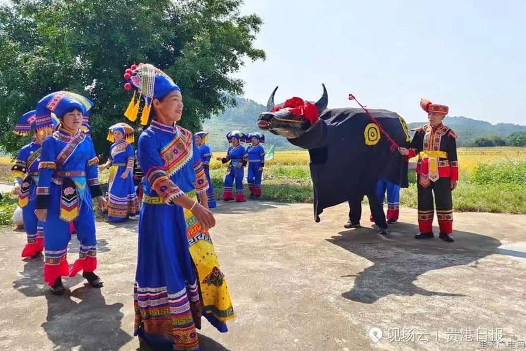 桂平三月三“鬧春牛”民俗文化旅游節(jié),！全網(wǎng)尋“?！比耍鸥＠笳校杭濐I(lǐng)免費(fèi)門票,！西山,、龍?zhí)豆珗@、西山泉等多個(gè)景點(diǎn)門票等你來拿,！