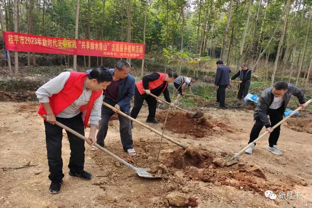 【作風(fēng)提升】桂平市委黨校著力提升干部作風(fēng)推動(dòng)工作提質(zhì)增效