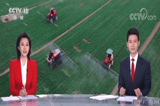 今天,，央視兩個頻道三個欄目播出《廣西桂平：現(xiàn)代科技助力60萬畝早稻育秧工作》