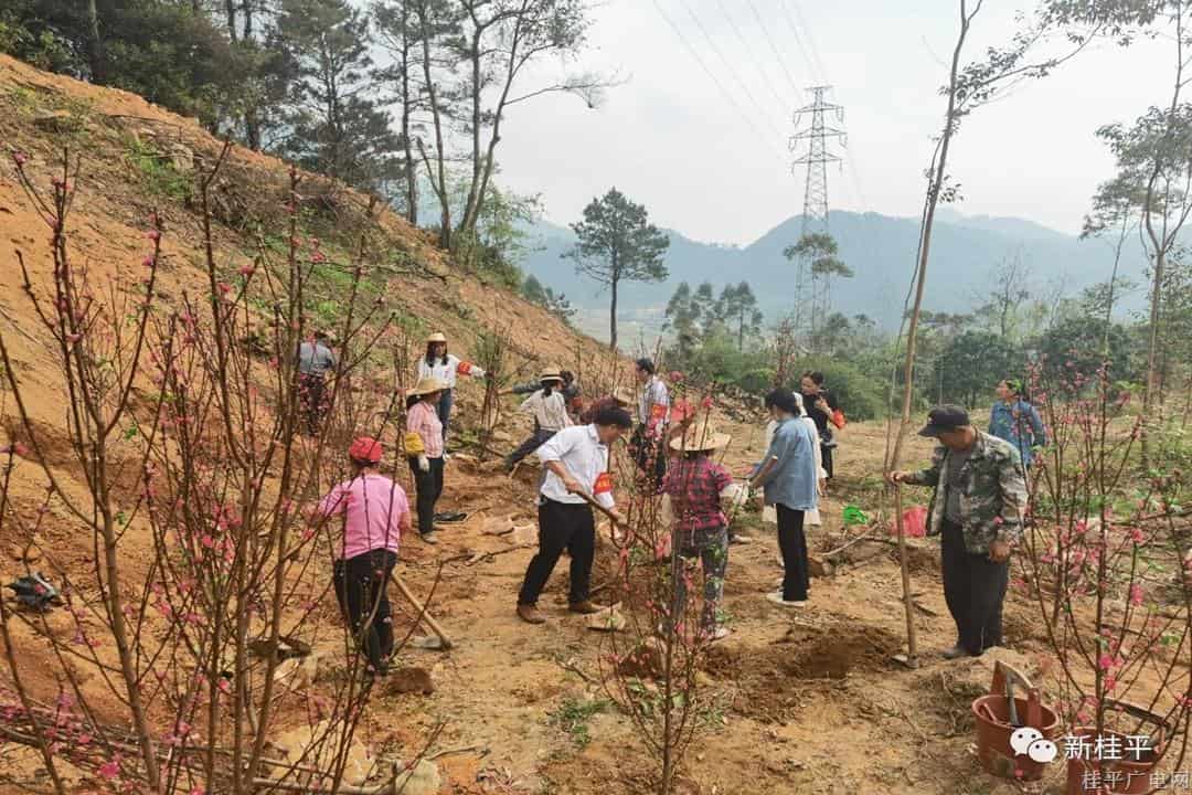 【學(xué)雷鋒】學(xué)雷鋒 做植樹先鋒