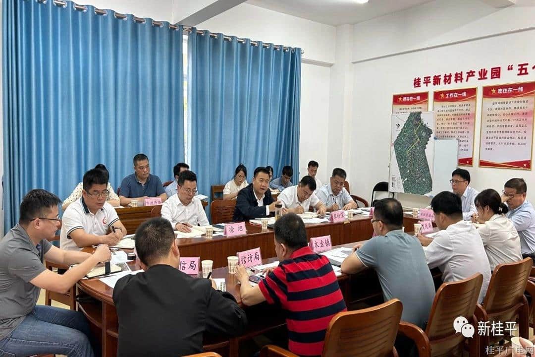黃德佳深入桂平新材料產(chǎn)業(yè)園召開現(xiàn)場辦公會