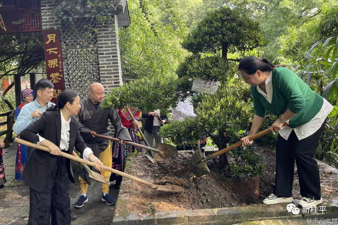 桂平開展“鑄牢中華民族共同體意識 共植民族團結(jié)同心樹”主題植樹活動