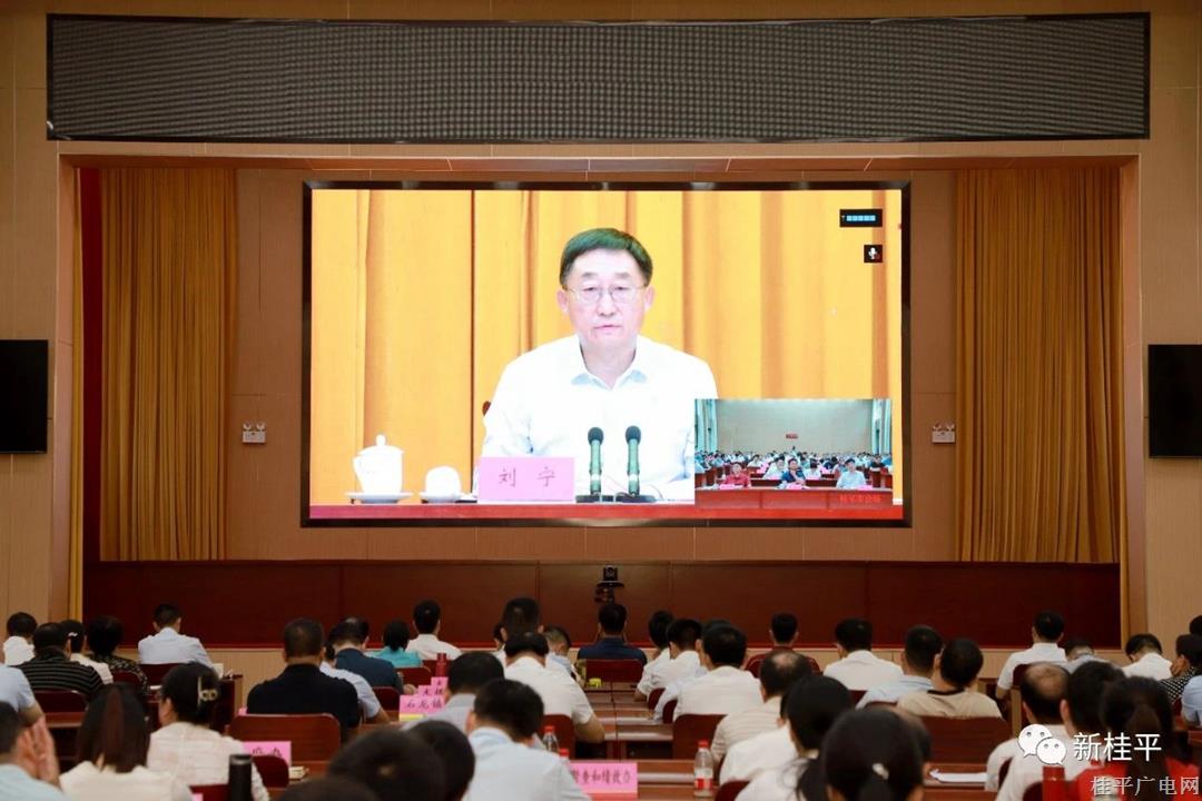 桂平市組織參加全區(qū)鞏固拓展脫貧攻堅成果同鄉(xiāng)村振興有效銜接工作暨國家考核評估反饋問題整改動員部署會議