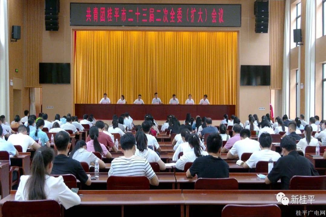 共青團(tuán)桂平市二十三屆二次全委（擴(kuò)大）會(huì)議召開