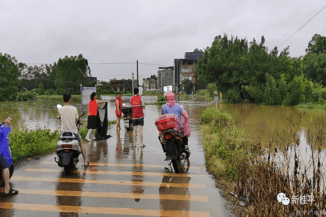 木圭鎮(zhèn)多措并舉 筑牢防汛“安全堤”