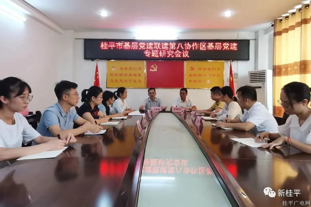 頭雁領(lǐng)航 強(qiáng)雁帶動 群雁齊飛——桂平市基層黨建聯(lián)建第八協(xié)作區(qū)“頭雁領(lǐng)航 加速提檔”活動（第一期）