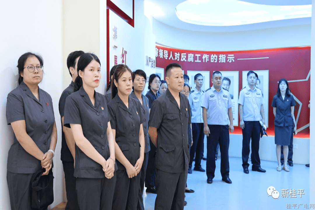 市人民法院開展“追崢嶸歲月 尋初心信仰”主題黨日活動(dòng)