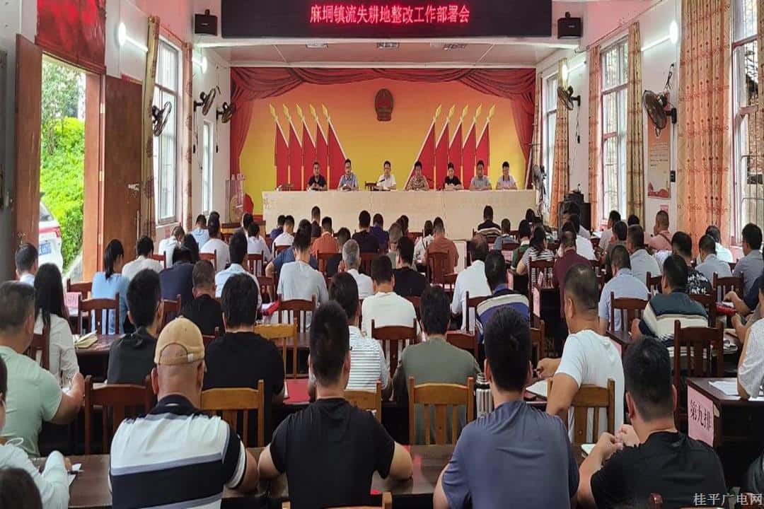 【難點問題書記一線辦】麻垌鎮(zhèn)黨委書記：硬手抓流失耕地整改 筑牢鄉(xiāng)村振興“耕”基
