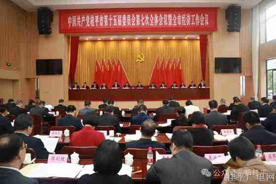 中國共產(chǎn)黨桂平市第十五屆委員會第七次全體會議公報