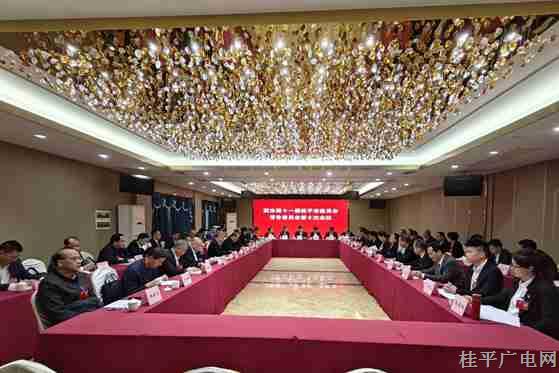 【聚焦兩會】桂平市政協(xié)召開第十一屆常務委員會第十次會議