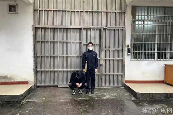 男子一人分飾兩角 詐騙同學(xué)10萬(wàn)余元