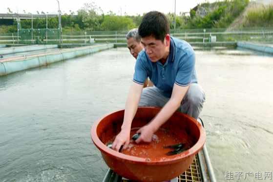 【勞動者之歌】陳壽福：做漁業(yè)的推廣者 當(dāng)養(yǎng)殖戶的知心人