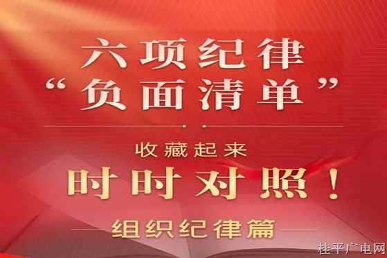 【紀(jì)法課堂】六項(xiàng)紀(jì)律“負(fù)面清單”之組織紀(jì)律篇