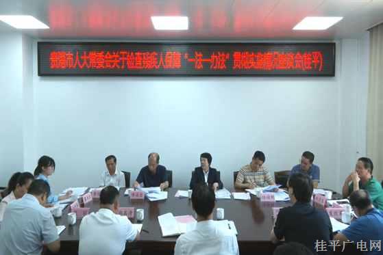 貴港市人大常委會檢查組到我市對實(shí)施殘疾人保障“一法一辦法”實(shí)施情況開展執(zhí)法檢查