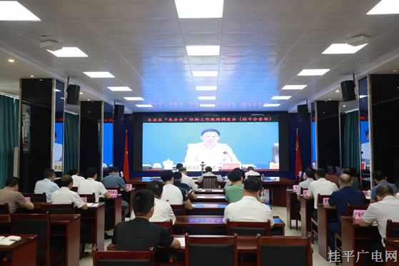 桂平市組織參加全區(qū)“龍舟水”防御工作視頻調(diào)度會(huì)議