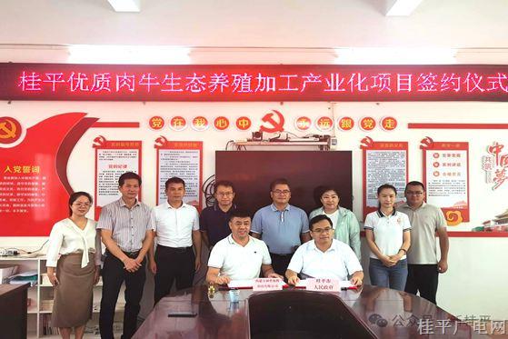 項(xiàng)目總投資5億元！優(yōu)質(zhì)肉牛生態(tài)養(yǎng)殖加工產(chǎn)業(yè)化項(xiàng)目落戶桂平
