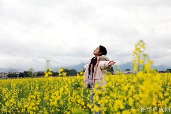 石龍鎮(zhèn)：春日來(lái)信 花已抵達(dá)